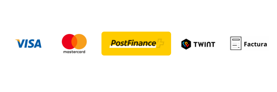 Métodos de pago seguros y protegidos en línea